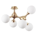 Ideal Lux - Piestiprināma griestu lustra NODI 5xE14/28W/230V 50x55 cm misiņš/balts